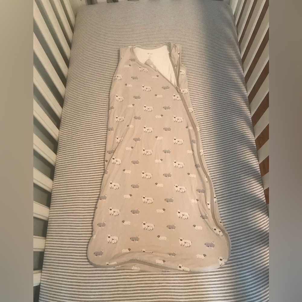 Kyte Baby Bamboo Sleep Bag